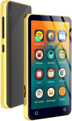 Mp3 player mit bluetooth wlan - mit,